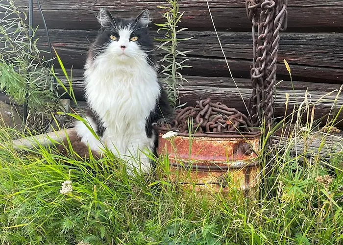 Дом отдыха With A View
