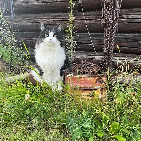 Vakantiehuis With A View